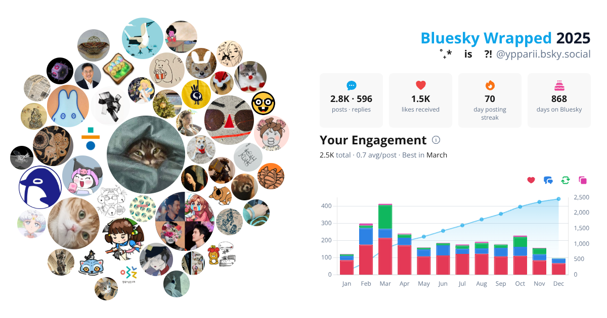 Your Bluesky Wrapped 2025 preview