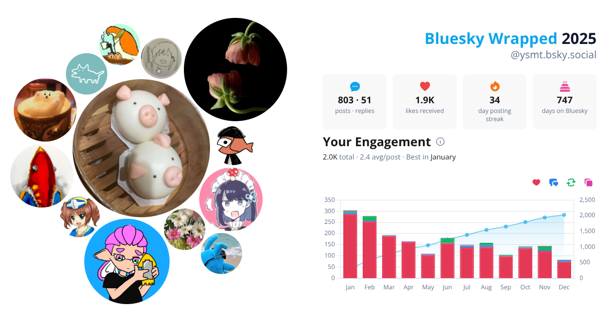 Your Bluesky Wrapped 2025 preview