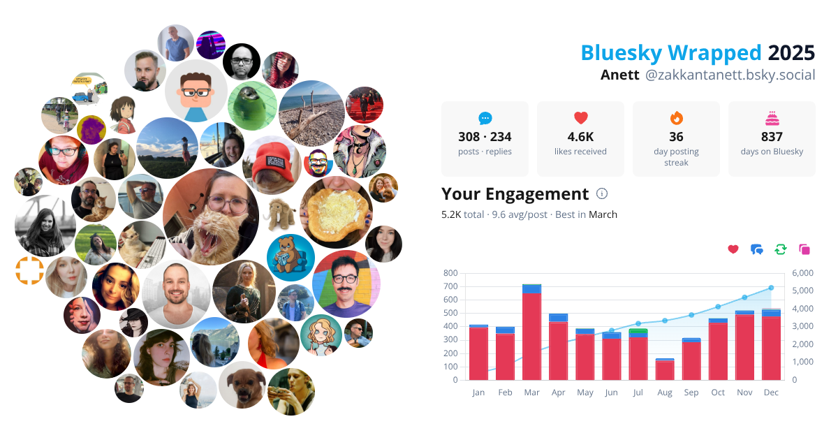 Your Bluesky Wrapped 2025 preview