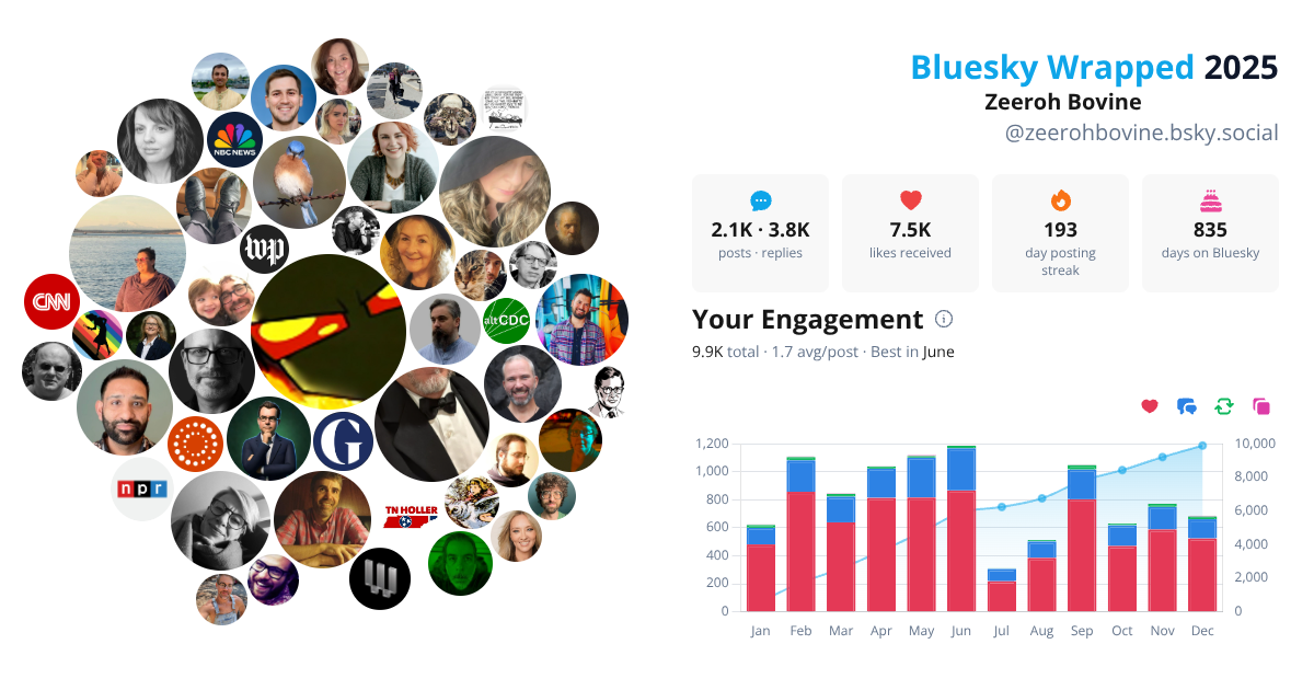 Your Bluesky Wrapped 2025 preview