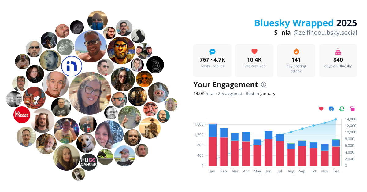 Your Bluesky Wrapped 2025 preview