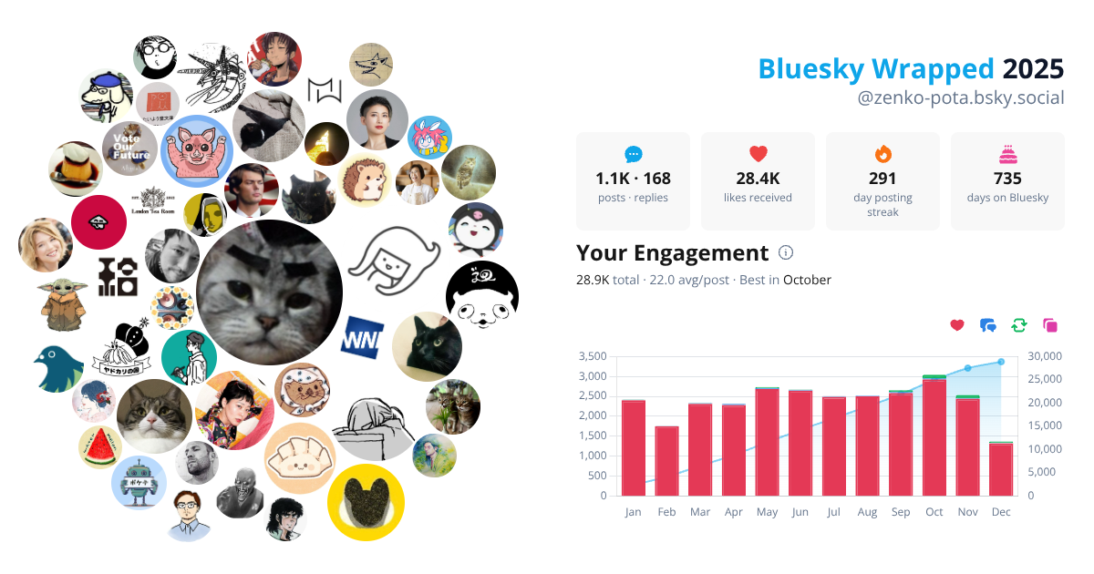 Your Bluesky Wrapped 2025 preview