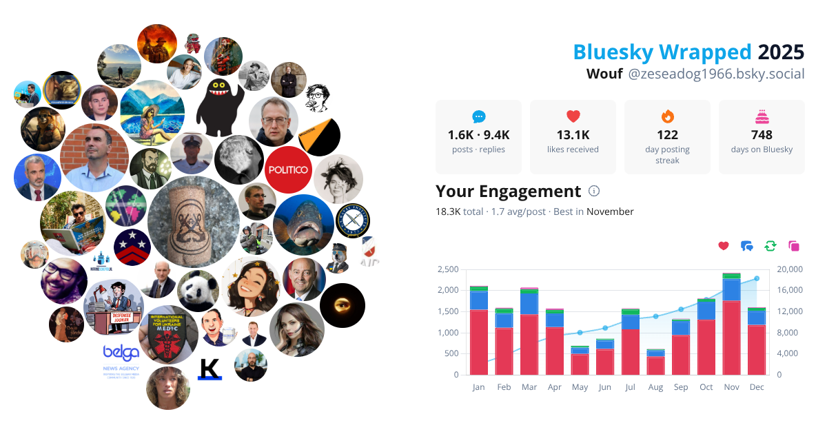 Your Bluesky Wrapped 2025 preview
