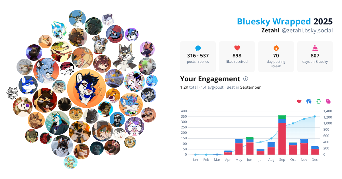 Your Bluesky Wrapped 2025 preview