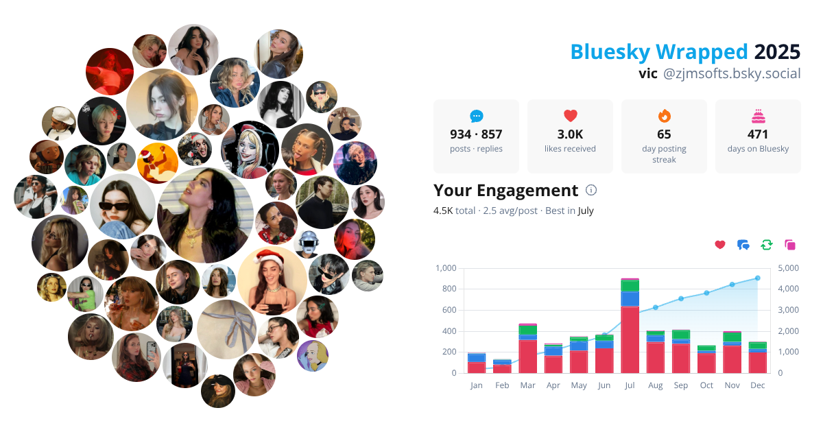 Your Bluesky Wrapped 2025 preview