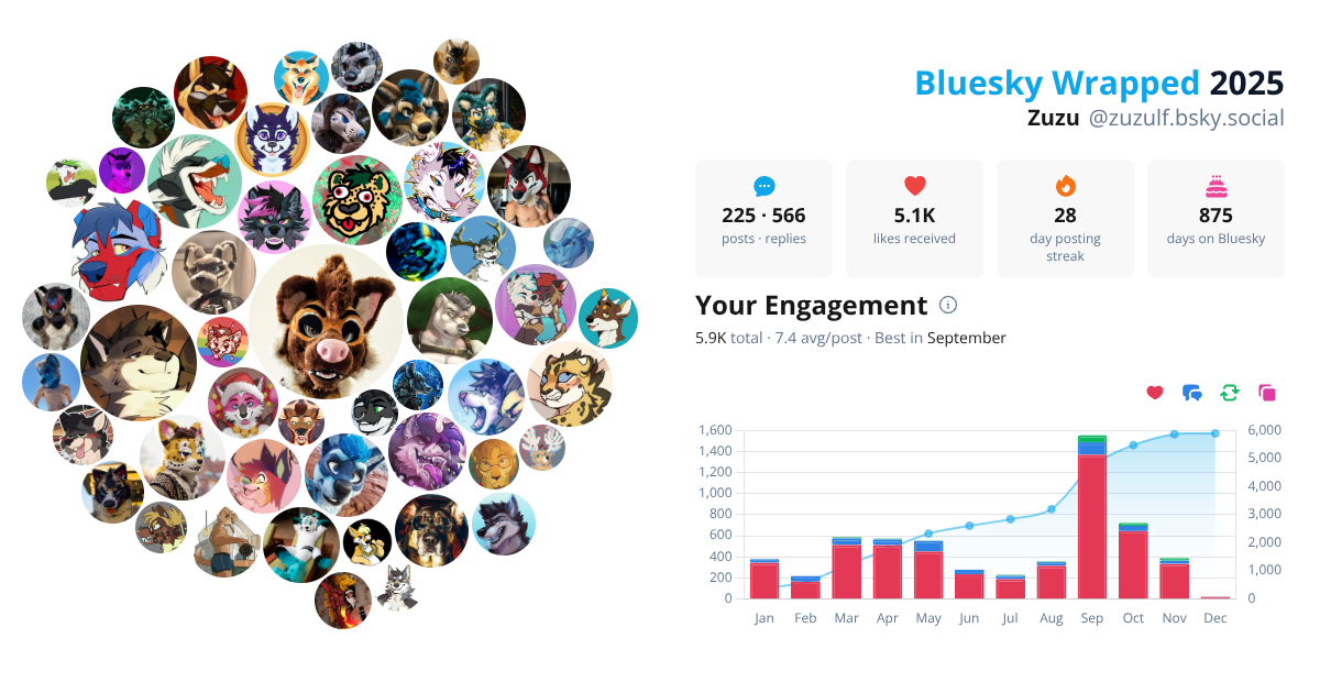 Your Bluesky Wrapped 2025 preview