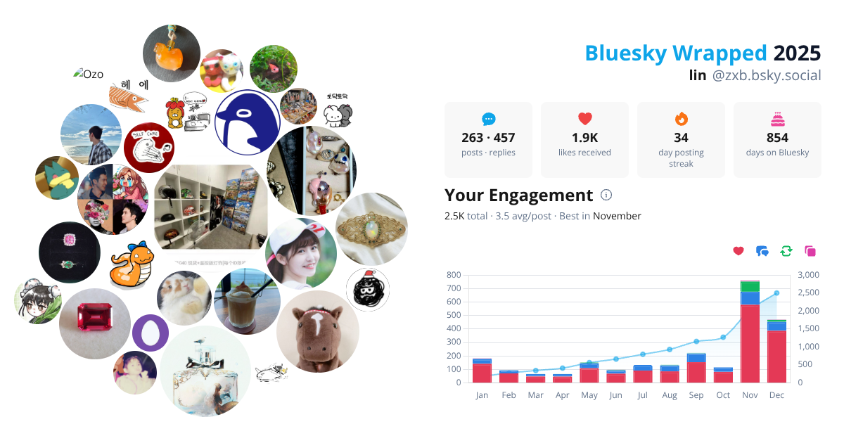Your Bluesky Wrapped 2025 preview