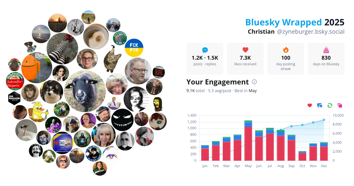Your Bluesky Wrapped 2025 preview